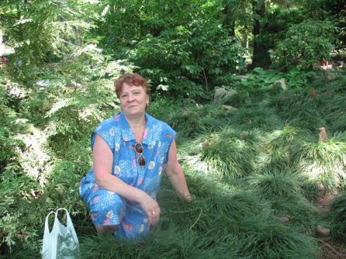 Людмила,67лет,Электросталь