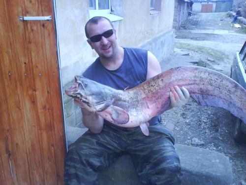 Dimarik,46лет,Кашира