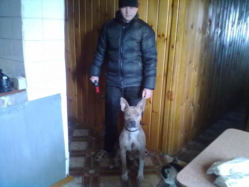 Alex,37лет,Кемерово