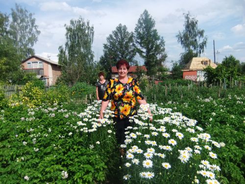 екатерина,79лет,Барнаул