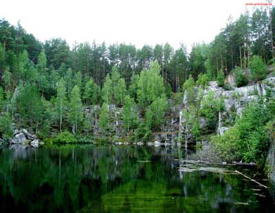 Озеро в сосновом лесу, хранитель экрана (скринсейвер)